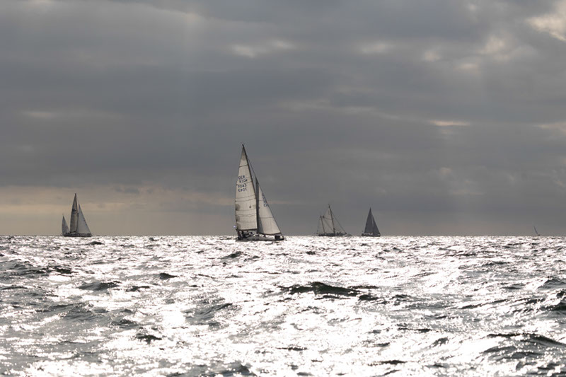 _31A5594HFranck