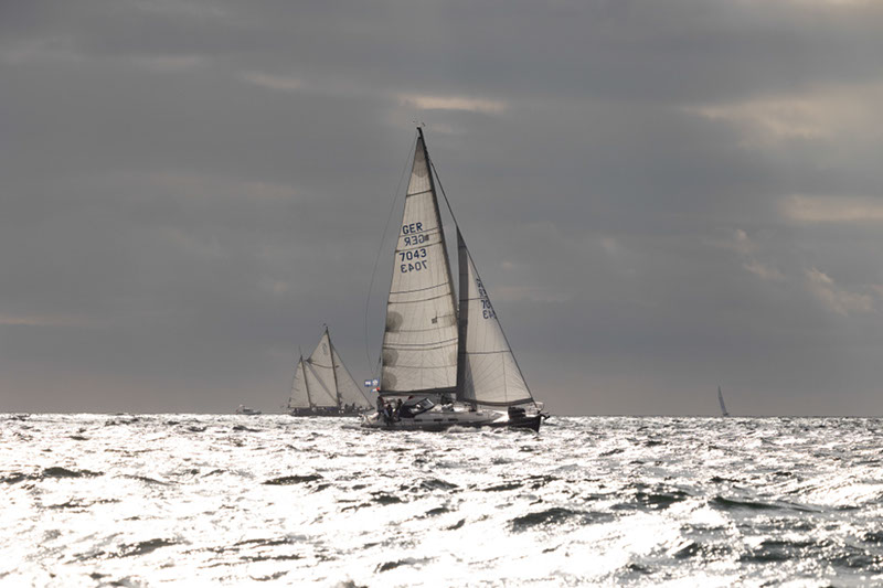 _31A5597HFranck