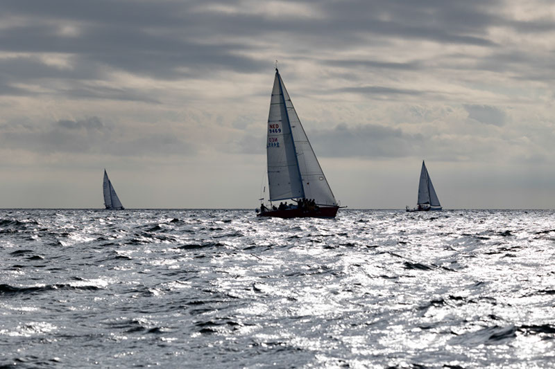 _31A5627HFranck