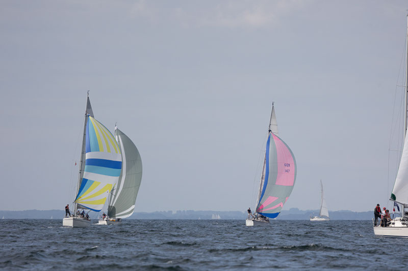 _31A6316HFranck