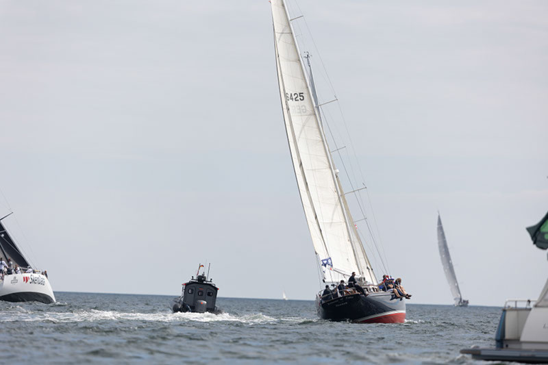 _31A6471HFranck