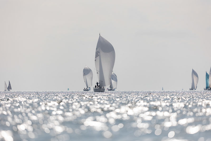 _31A6517HFranck