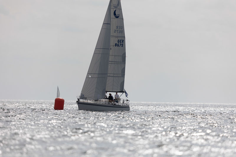 _31A6556HFranck