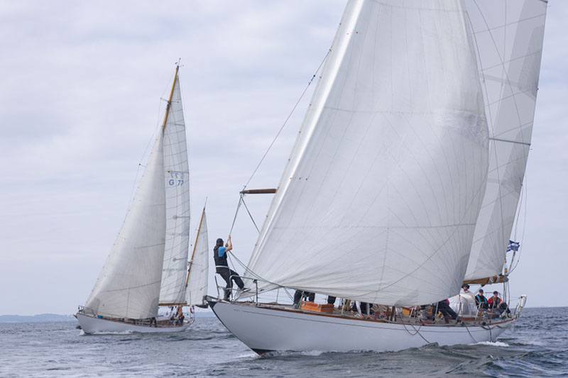 _T4A0728HFranck