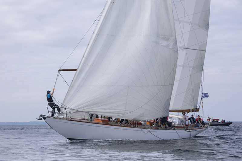 _T4A0732HFranck