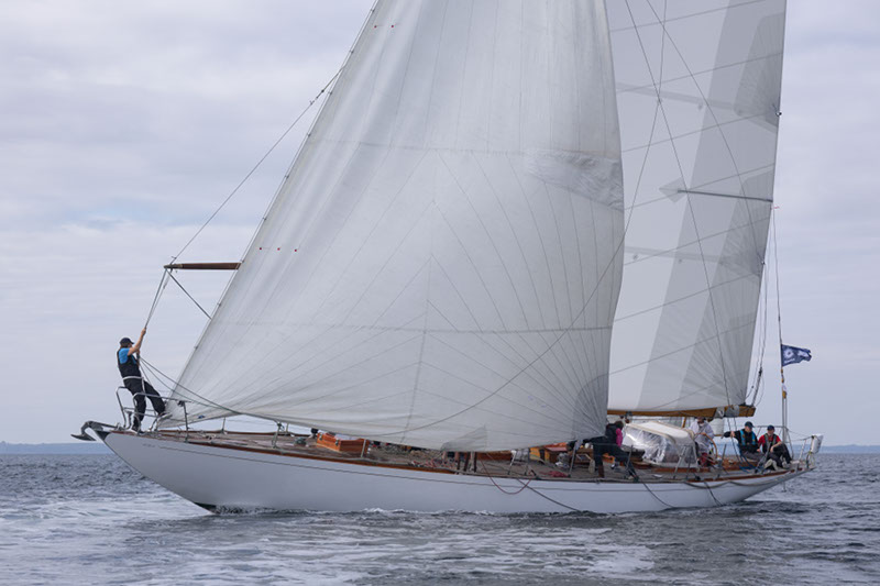 _T4A0735HFranck