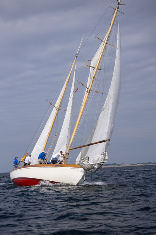 _T4A0755HFranck