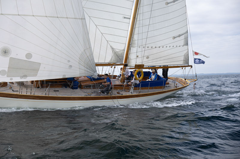 _T4A0767HFranck