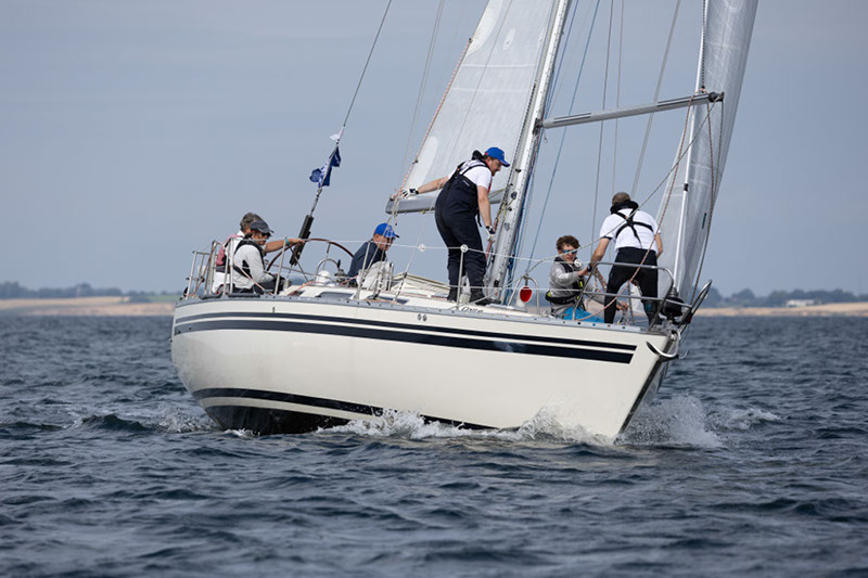 _T4A0785HFranck