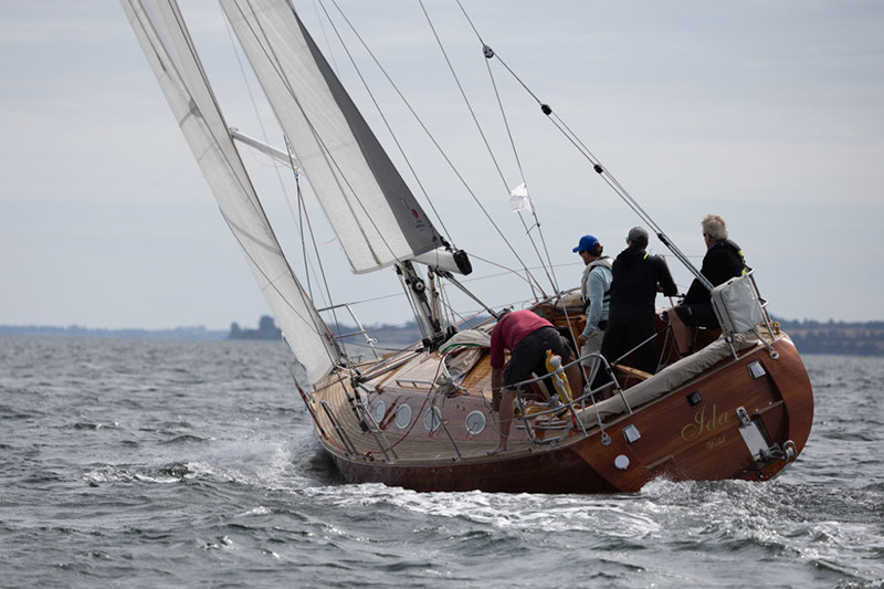 _T4A0815HFranck