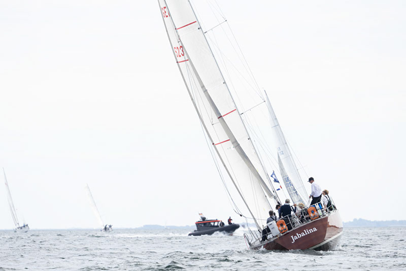 _T4A0841HFranck