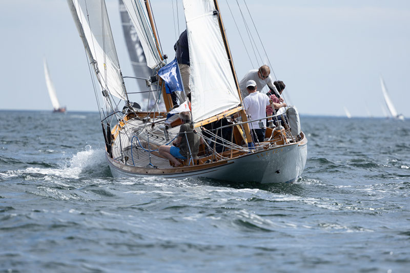 _T4A0896HFranck