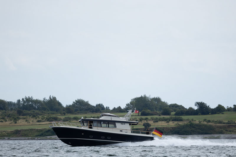 _T4A1248HFranck