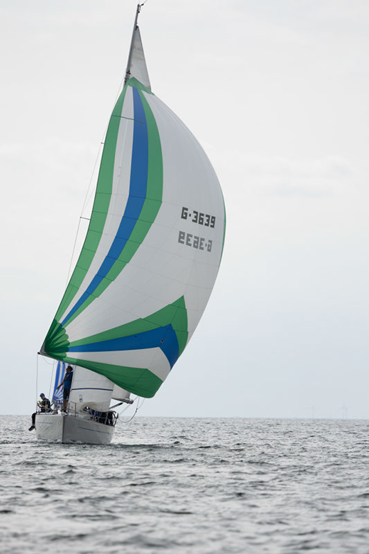 _T4A1271HFranck