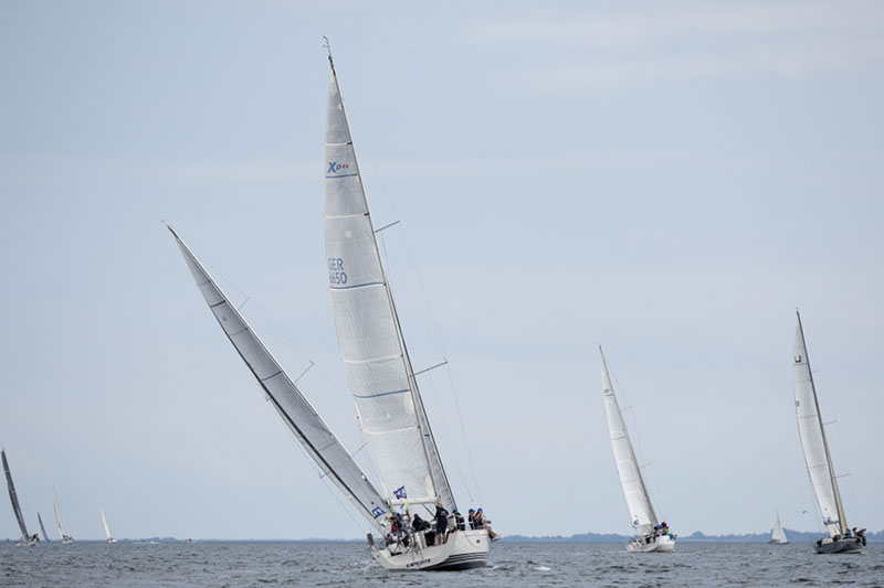 _T4A1272HFranck