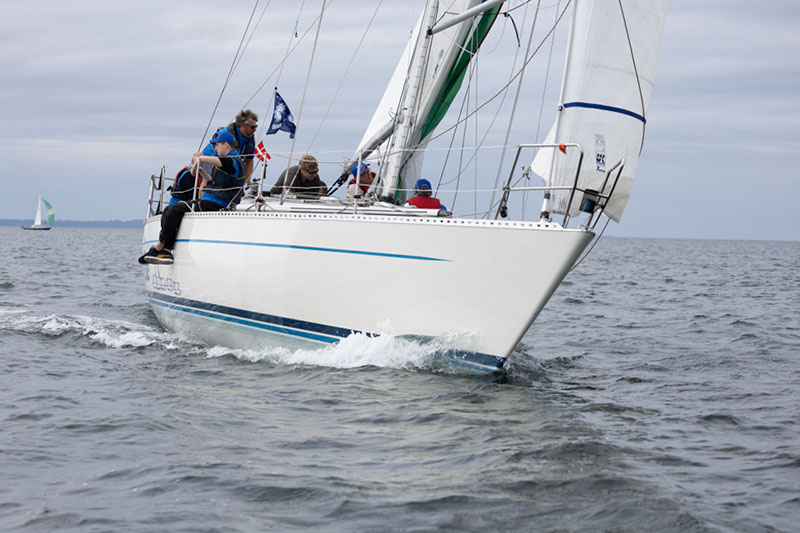_T4A1282HFranck