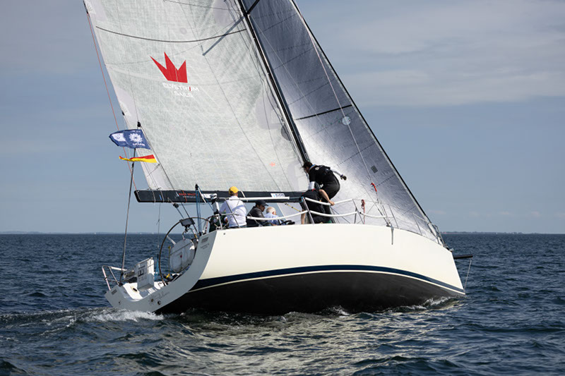 _T4A1383HFranck
