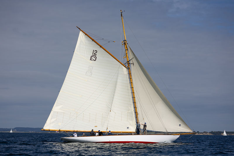 _T4A1482HFranck