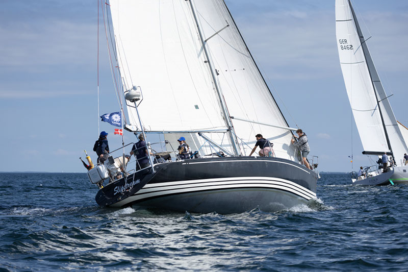 _T4A1502HFranck