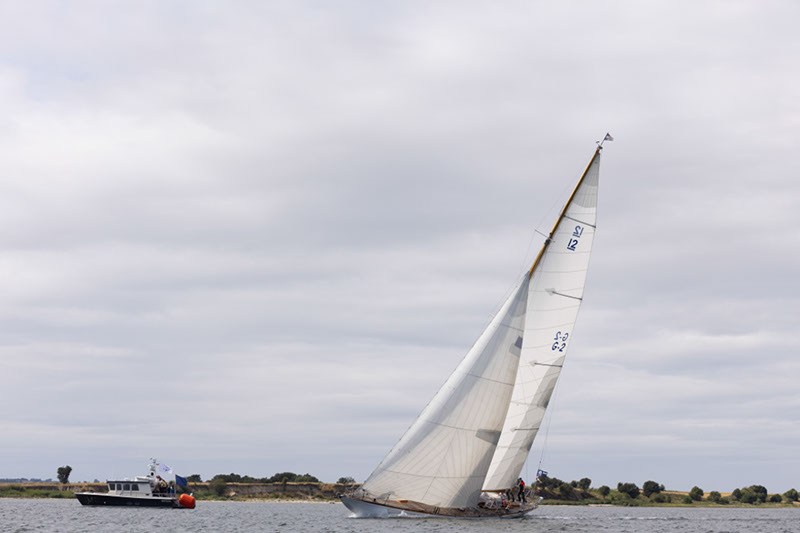 _Z5A5448
