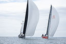 _T4A1073HFranck