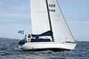 _T4A1115HFranck