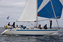 _T4A1168HFranck