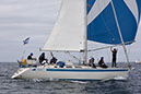 _T4A1169HFranck