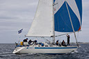 _T4A1171HFranck