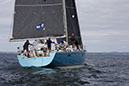 _T4A1181HFranck