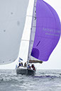 _T4A1188HFranck