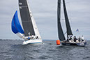 _T4A1318HFranck