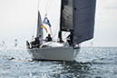 _T4A1375HFranck