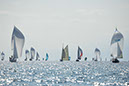 _T4A1379HFranck