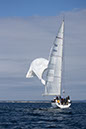 _T4A1483HFranck
