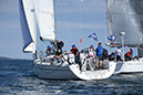 _T4A1538HFranck