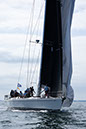 _T4A1562HFranck