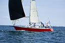 _T4A1587HFranck