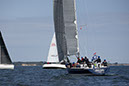 _T4A1664HFranck