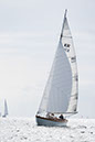 _T4A1721HFranck