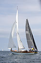 _T4A1748HFranck