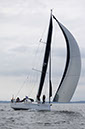 _T4A1760HFranck