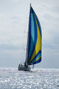 _T4A1829HFranck