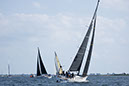 _T4A1916HFranck
