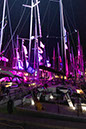 _T4A2671HFranck