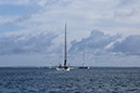 _T4A2810HFranck