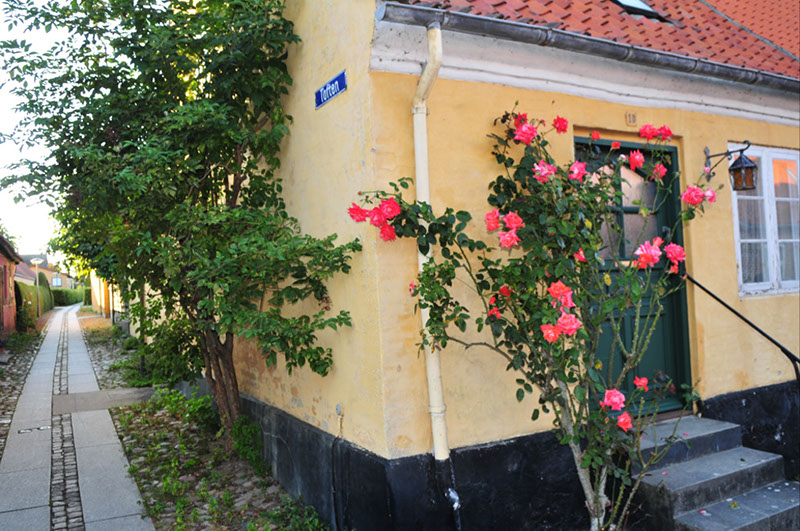 %_tempFileNameDSC_9864%