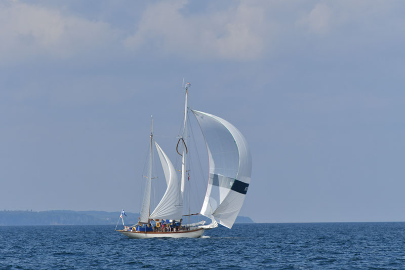 %_tempFileNameDSC_4384%