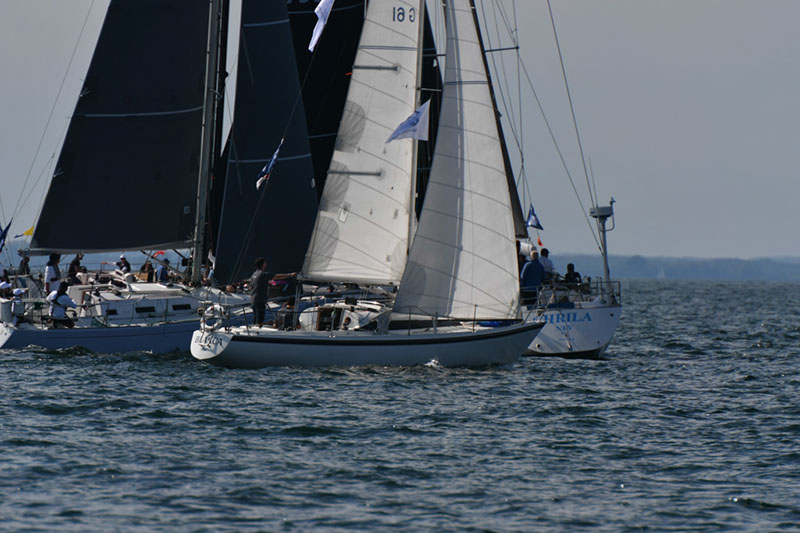 %_tempFileNameDSC_4650%